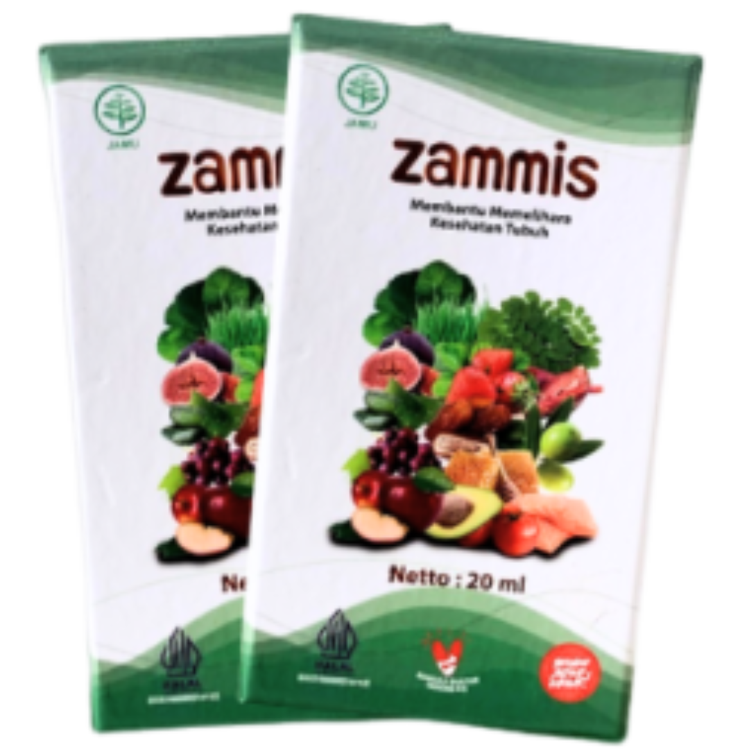 Zammis